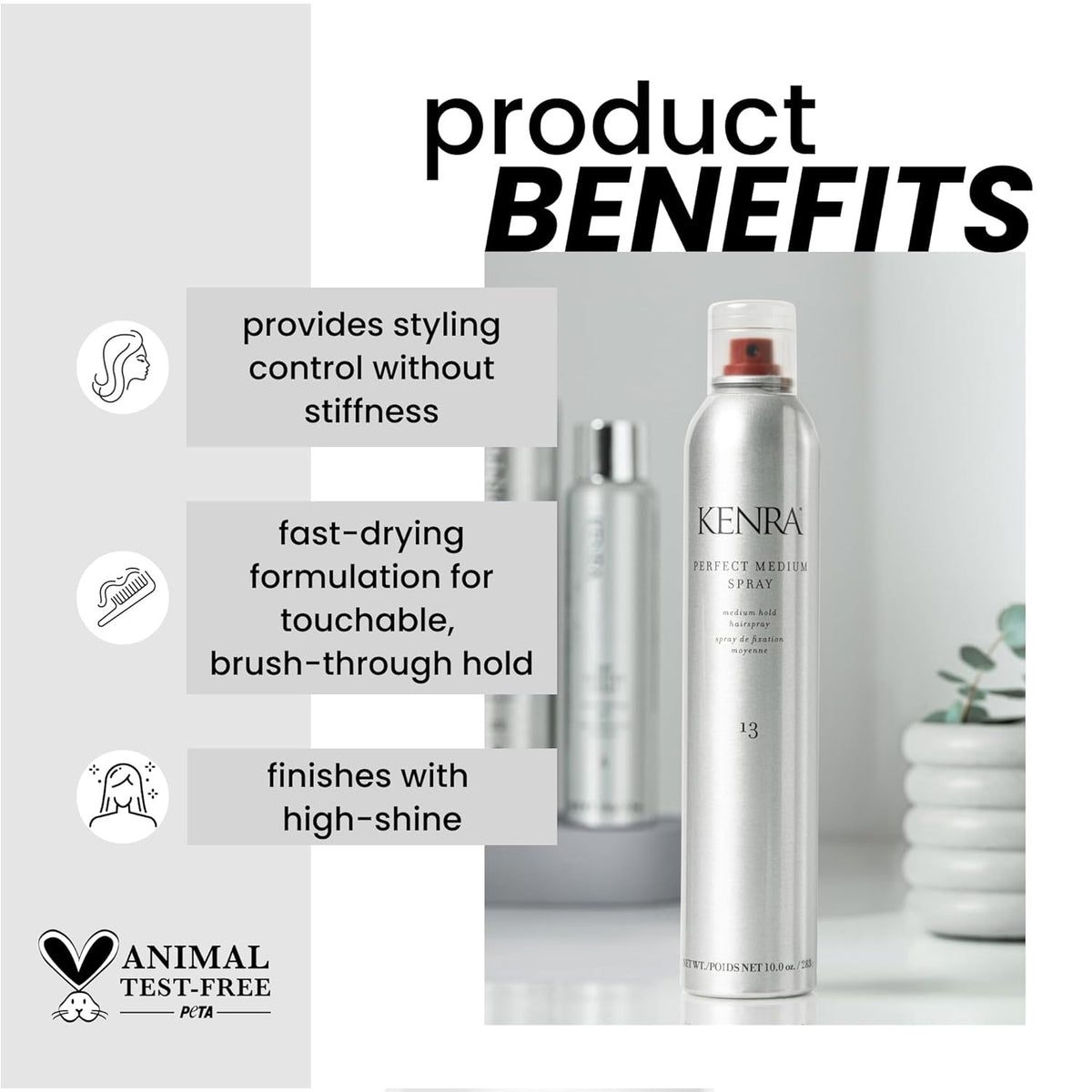 KENRA Perfect Medium Spray